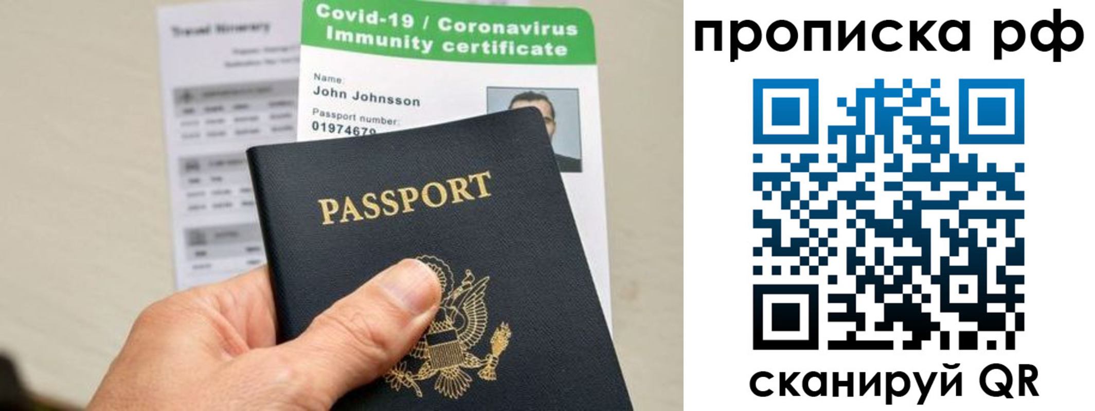 прописка в Электрогорске
